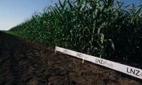  Системи гербіцидного захисту від DEFENDA на кукурудзі