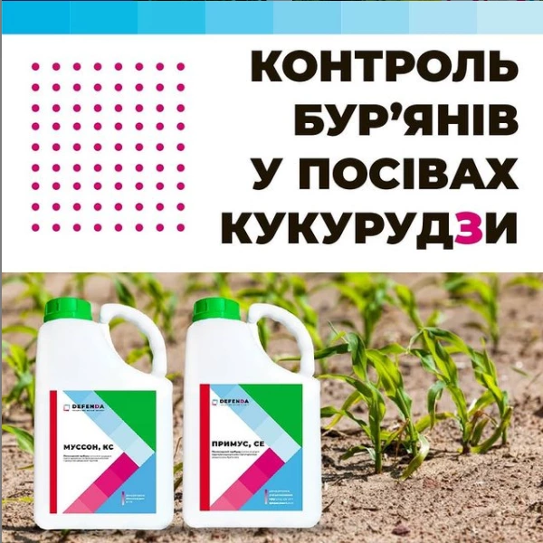 Як правильно вибрати гербіциди для захисту кукурудзи