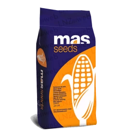 MAS 36.A Форс Зеа 2020 рік