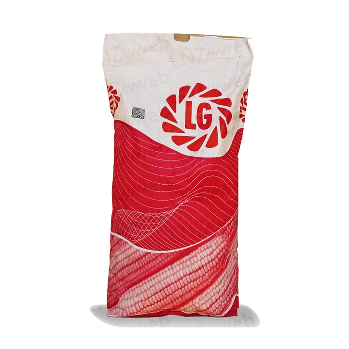 ЛГ30352 Пончо
