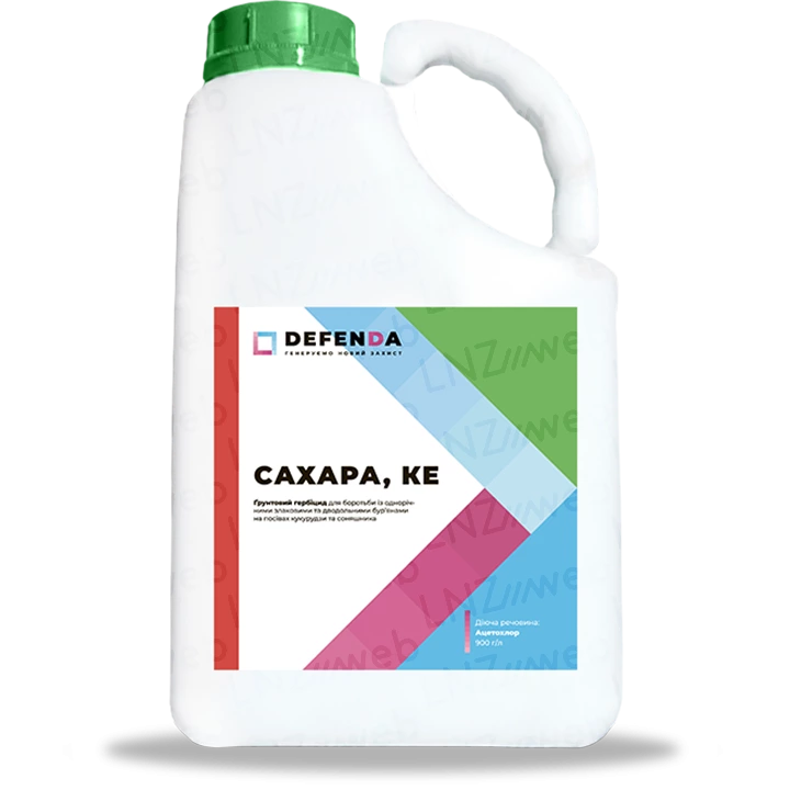 Сахара