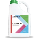 Сахара