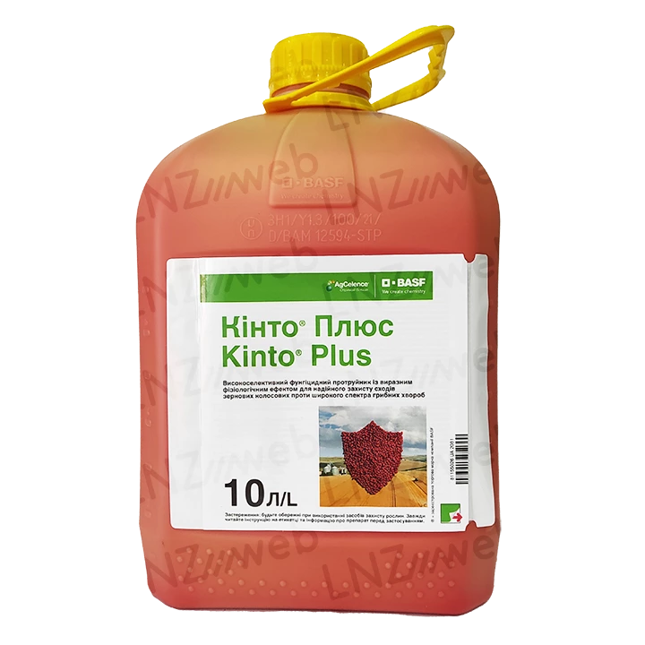 Кинто® Плюс