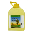 Піктор®