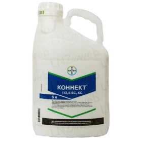 Коннект®