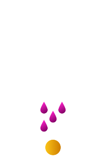 dolina