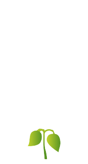 dolina